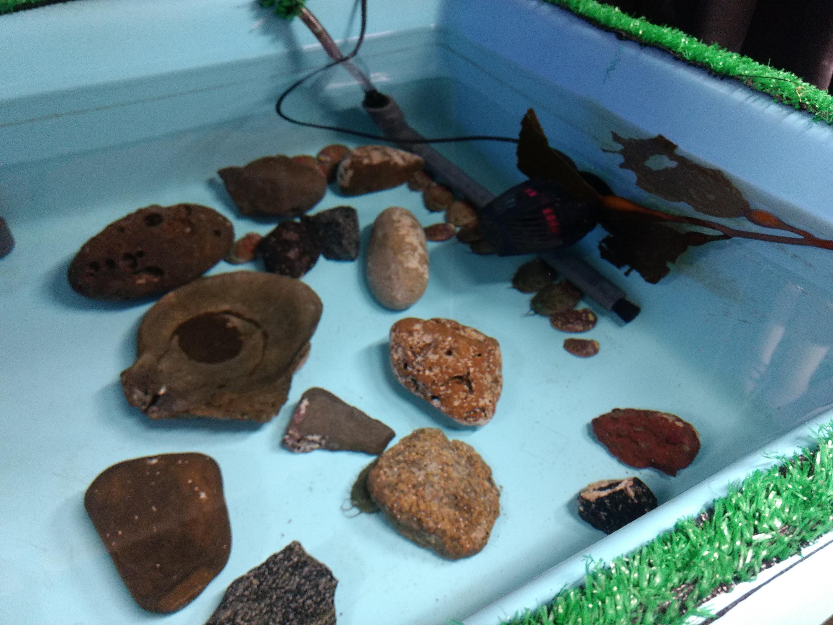 samantha muka pic.jpg