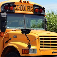 school-bus-4406479_1920.jpg