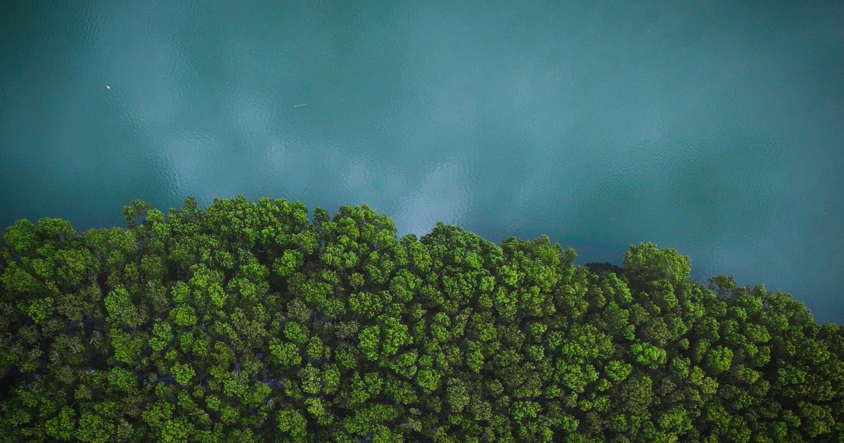 sergej-spomer-S6n1qAlA3W0-unsplash