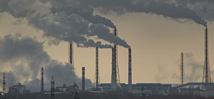 Screen Shot 2020-11-13 at 11.58.03 AM.png