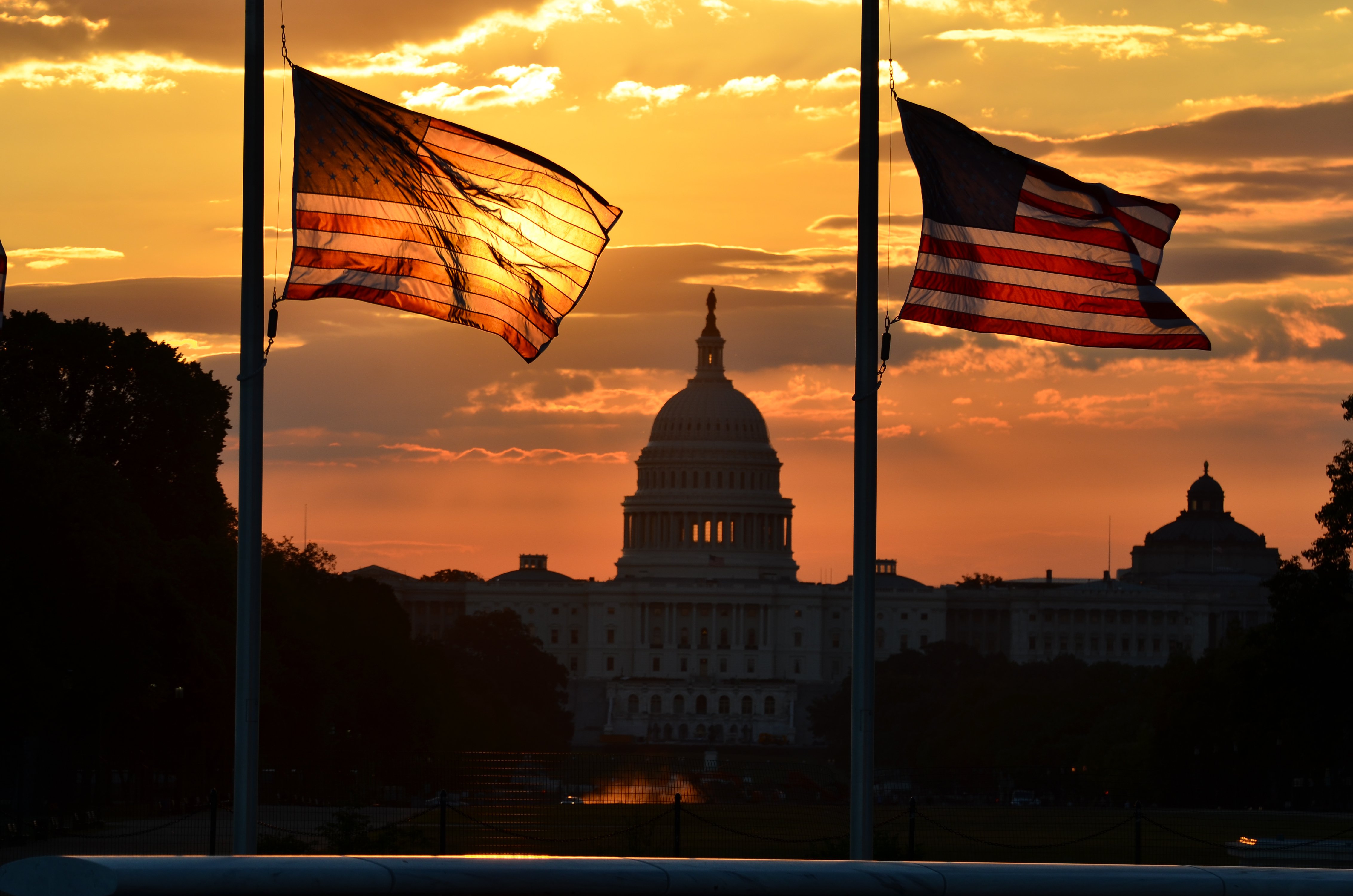Capitol and Flags