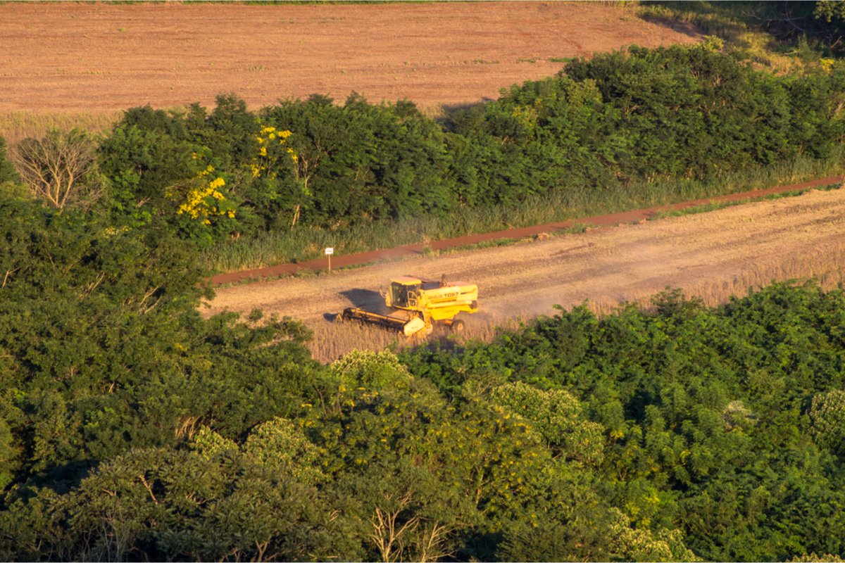soy farm brazil