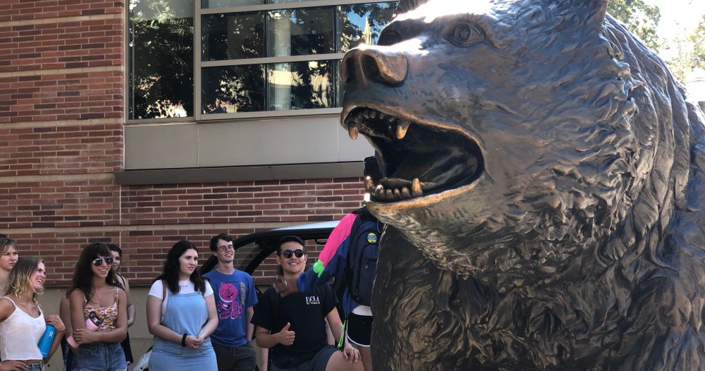 shutterstock_1166522377 (1).jpg