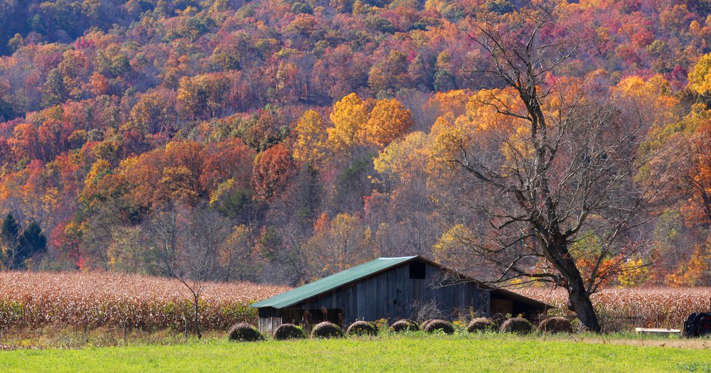 west virginia rural broadband