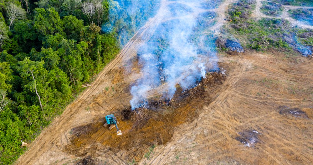 Deforestation in Amazon