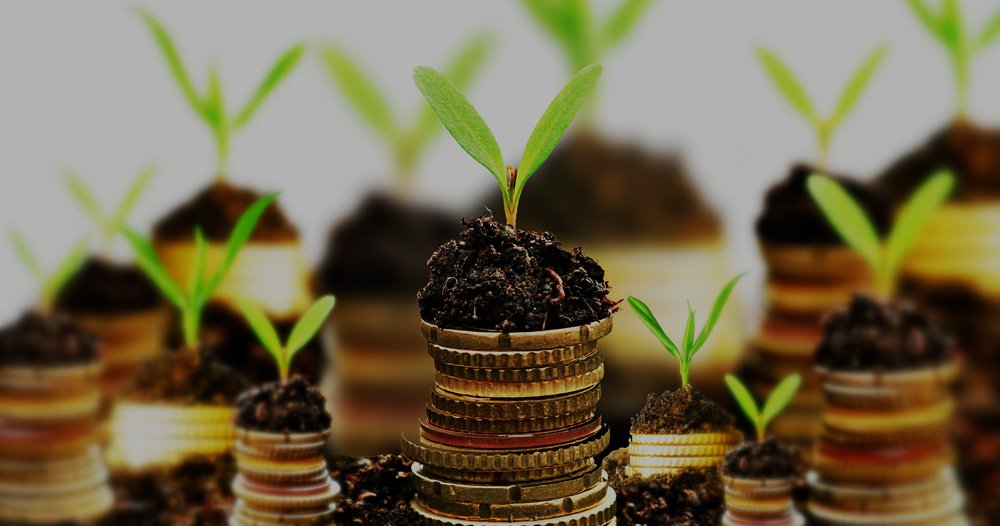 peace through entrepreneurship