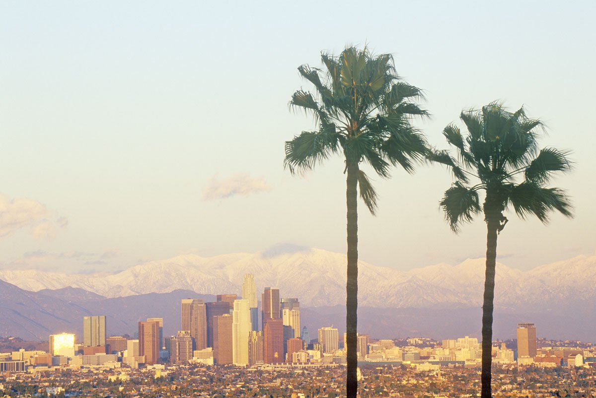 Los Angeles California skyline palm trees