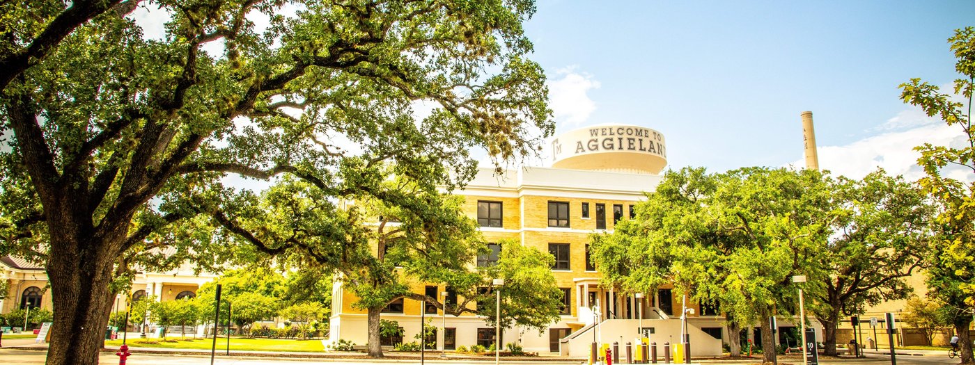 Morgan Polk Texas A&M