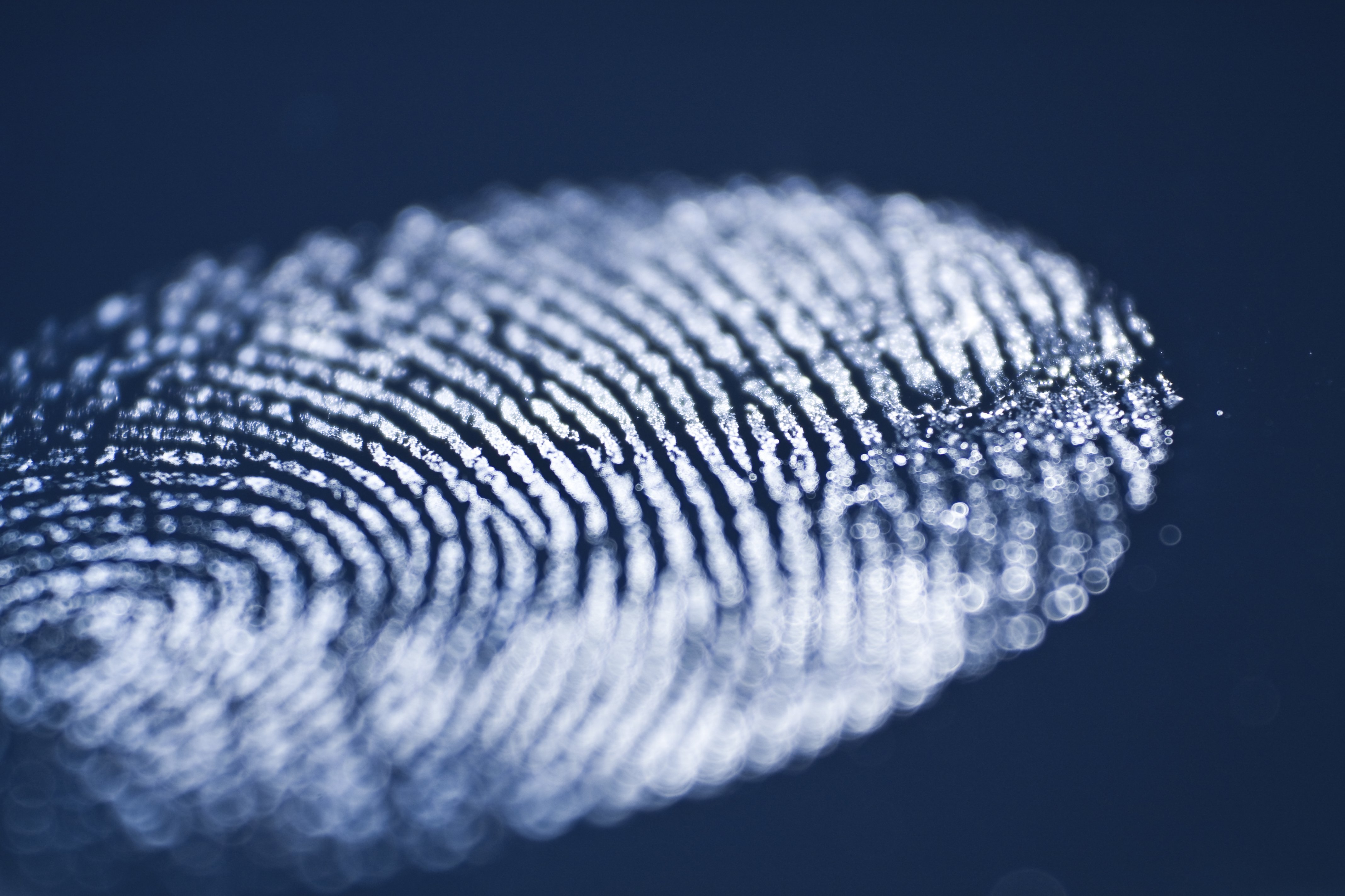 Fingerprint Biometric