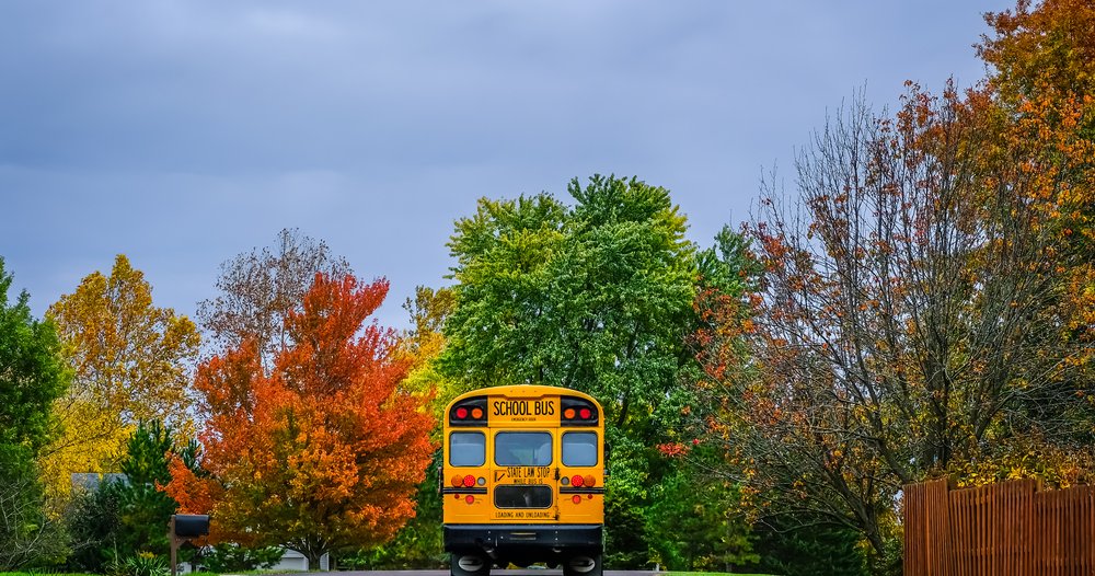 shutterstock_1773777263