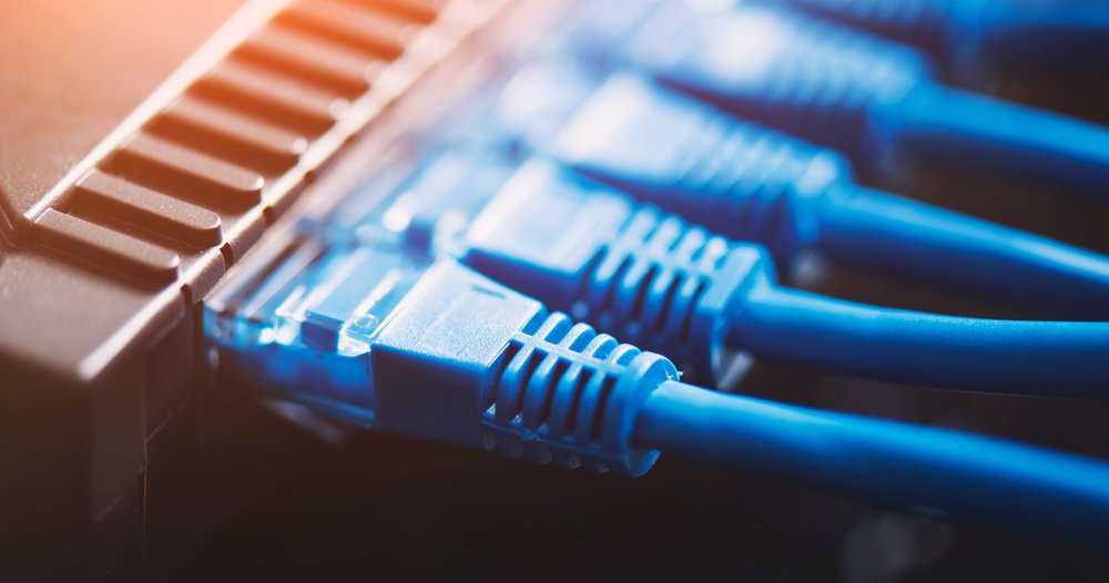 shutterstock_1935846049