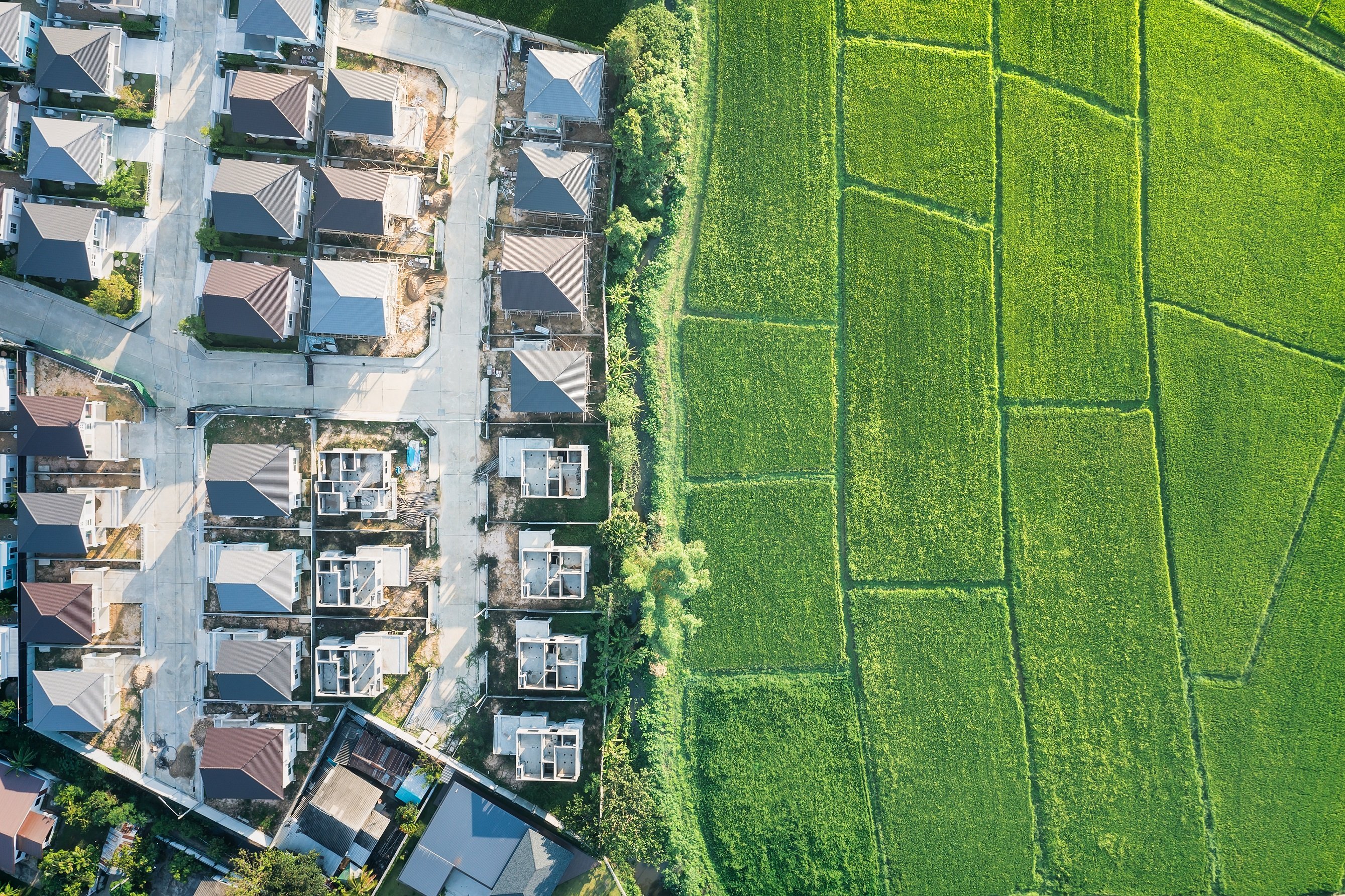 Land or landscape of green field in aerial view