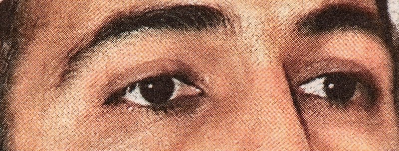 Osama bin Laden eyes