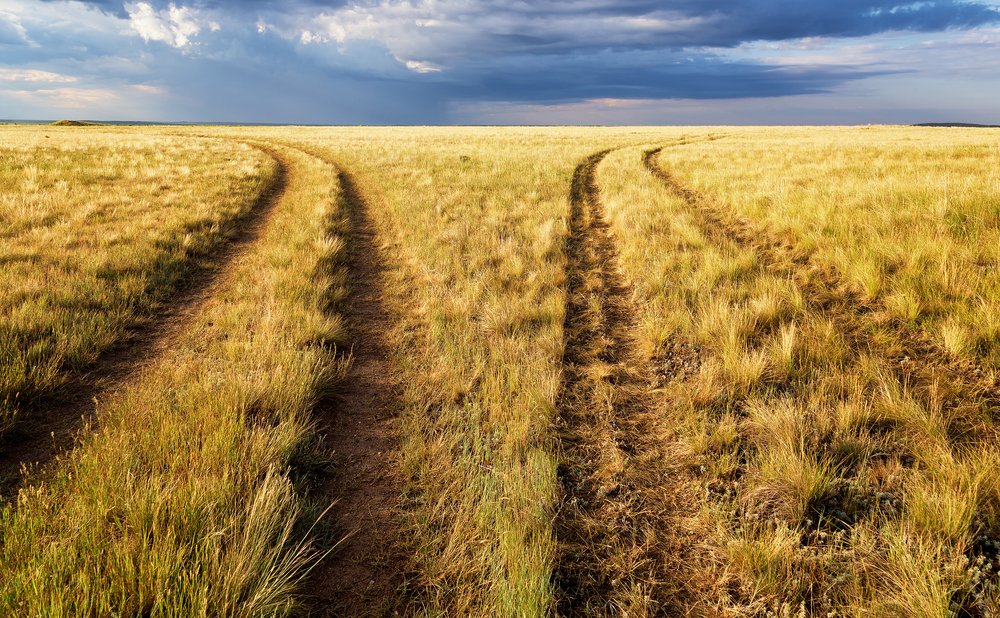 Climate change choices