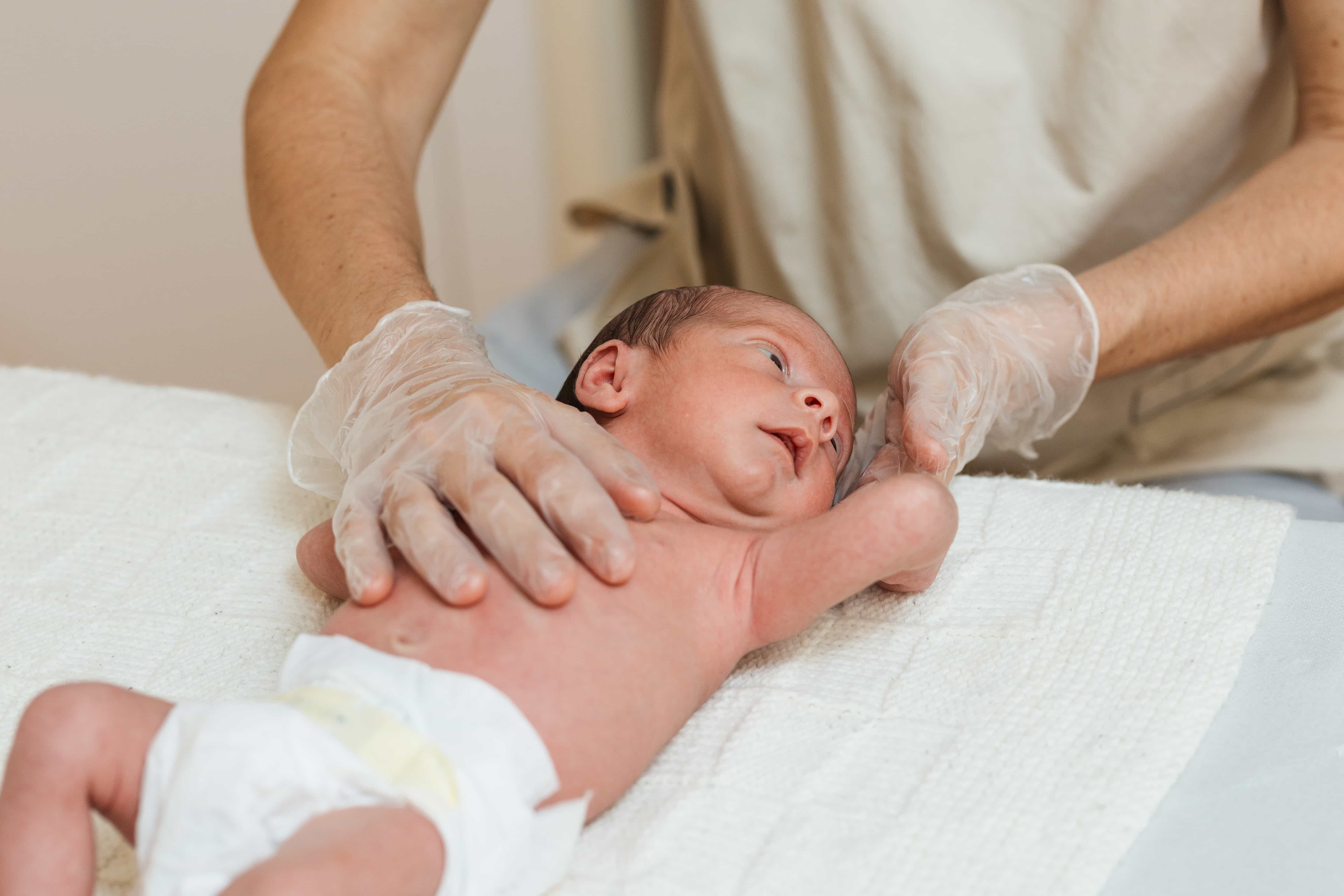 shutterstock_2097148012