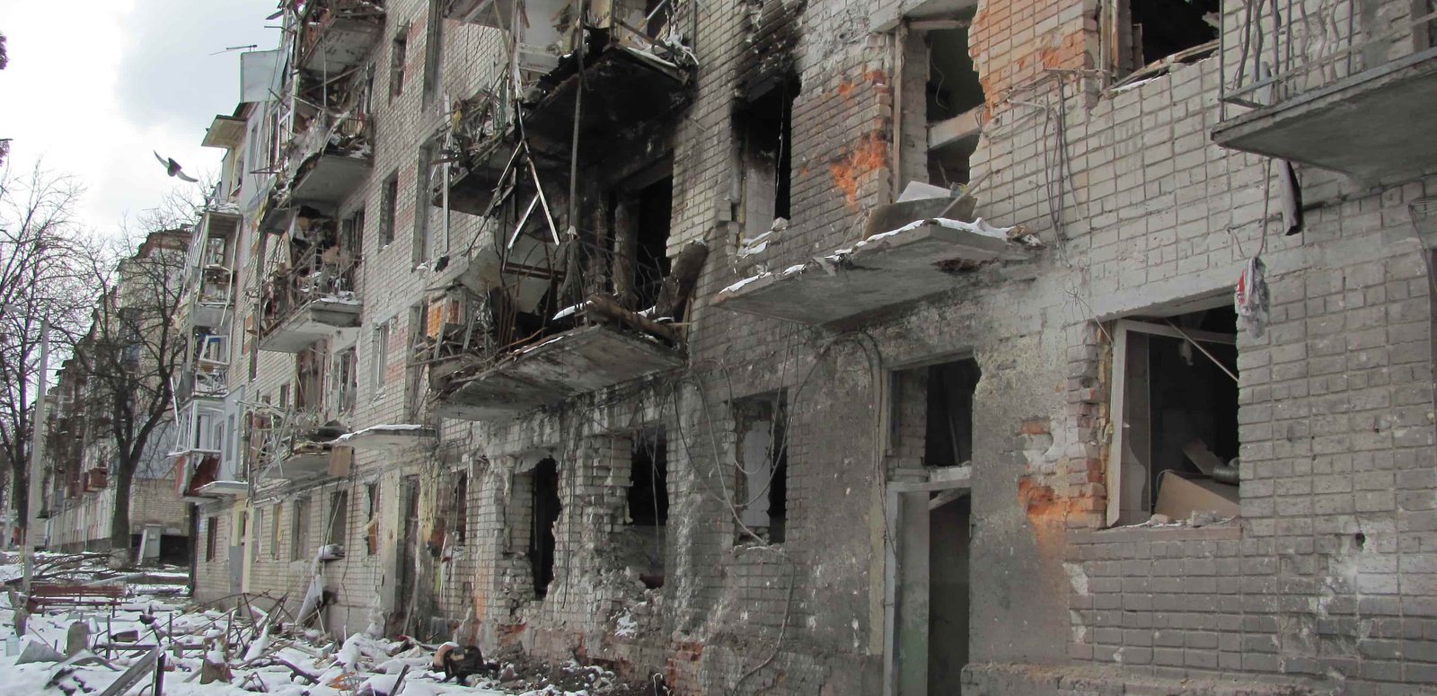 shutterstock_2133480451 (1)