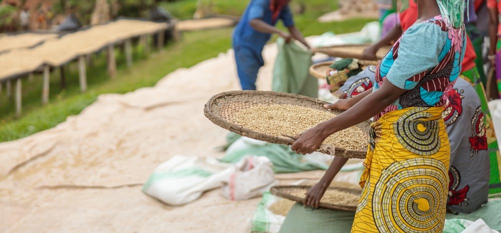 shutterstock_2185628531