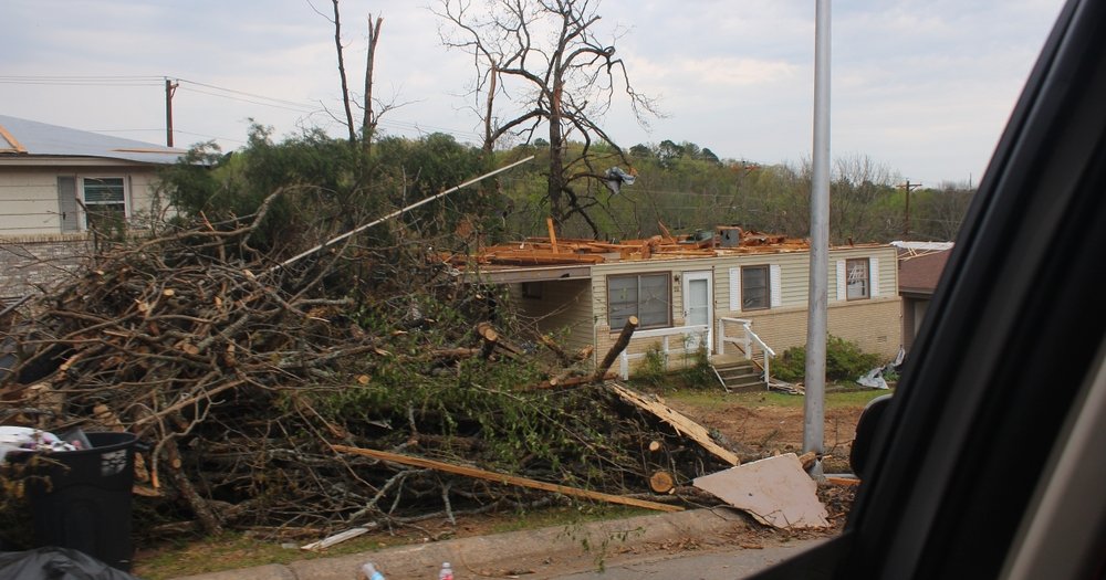 shutterstock_2283808915