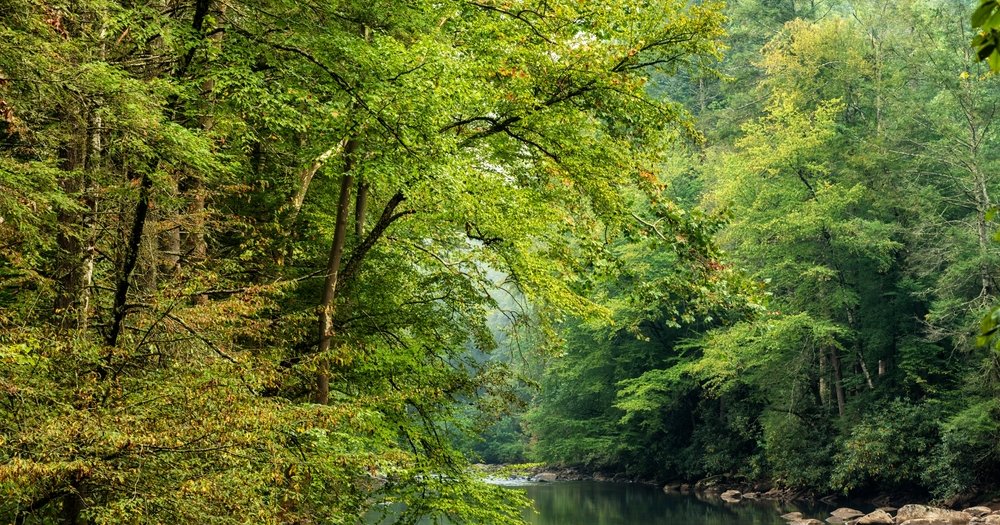 shutterstock_2305130353