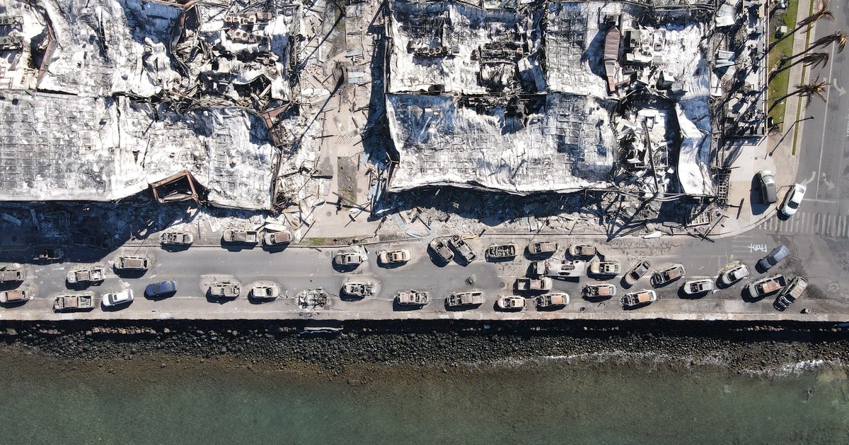 shutterstock_2398797969 (1)