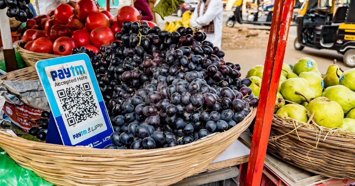 shutterstock_2407312079