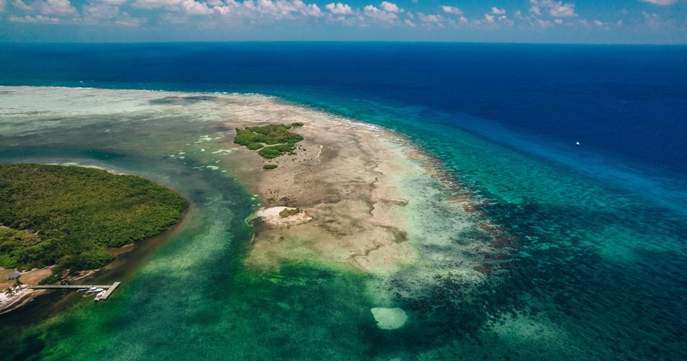 Can Private Finance Save the World's Forests and Oceans?