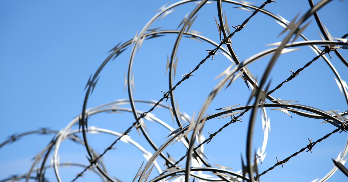 shutterstock_2511288