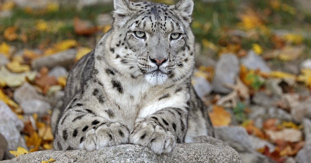 shutterstock_2521587979