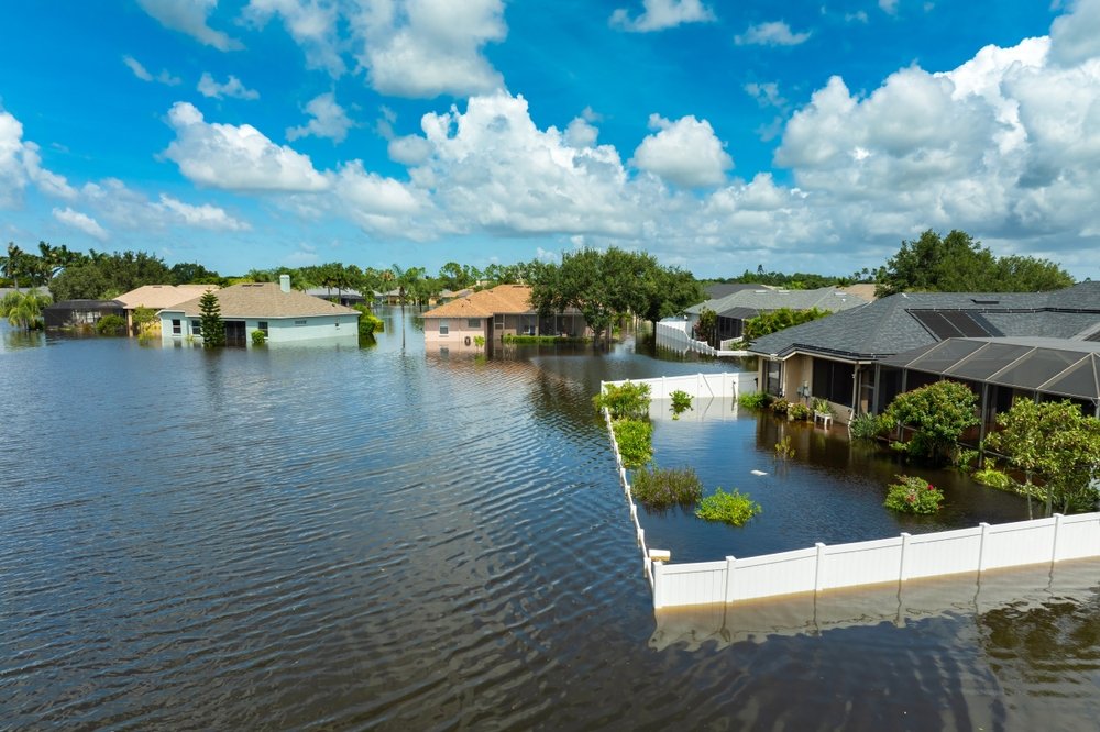 shutterstock_2530375841