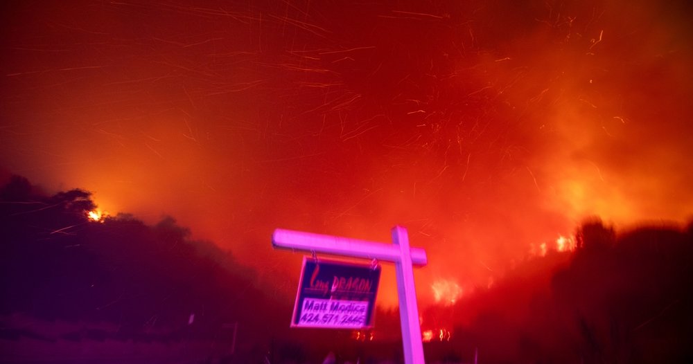 shutterstock_2568444893