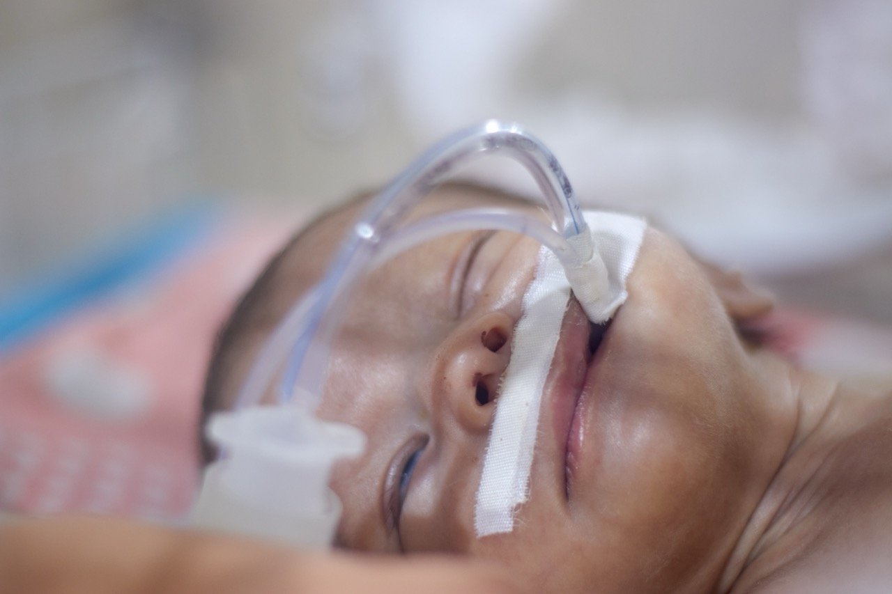 shutterstock_2593850719