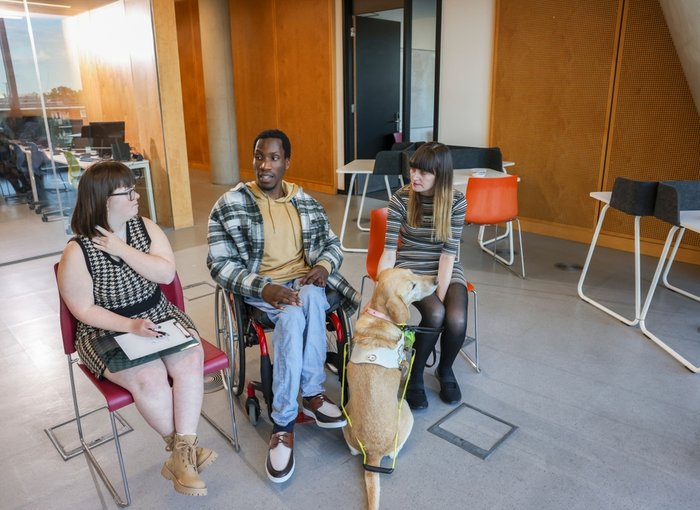 Coworkers with various disabilities sitting with guide dog in modern office