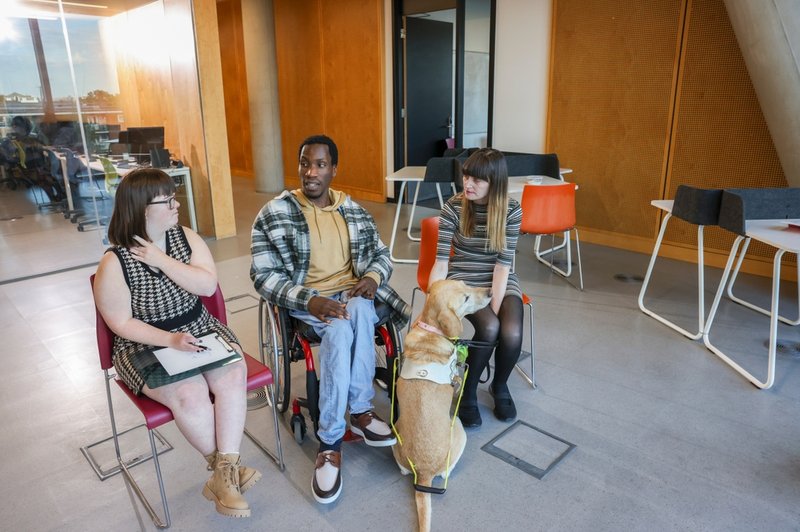 Coworkers with various disabilities sitting with guide dog in modern office