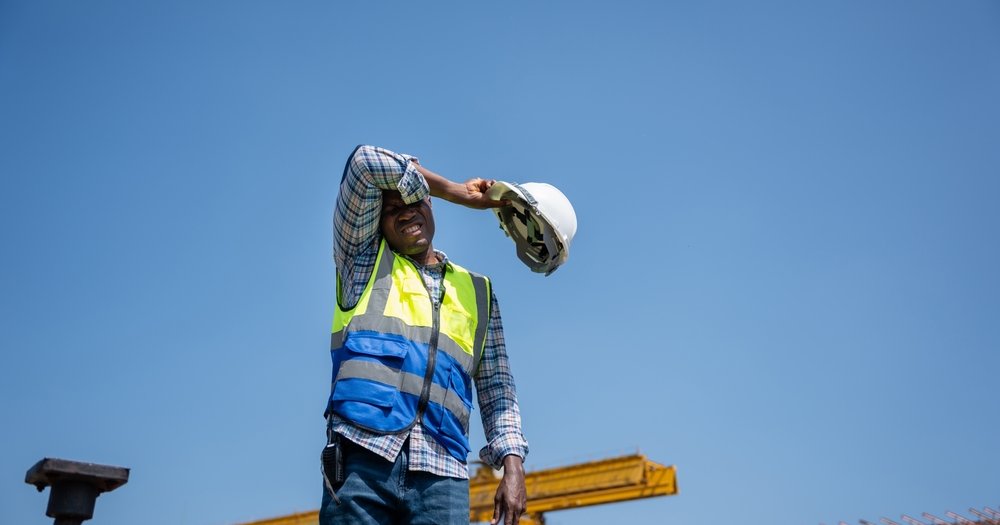 shutterstock_2641187439