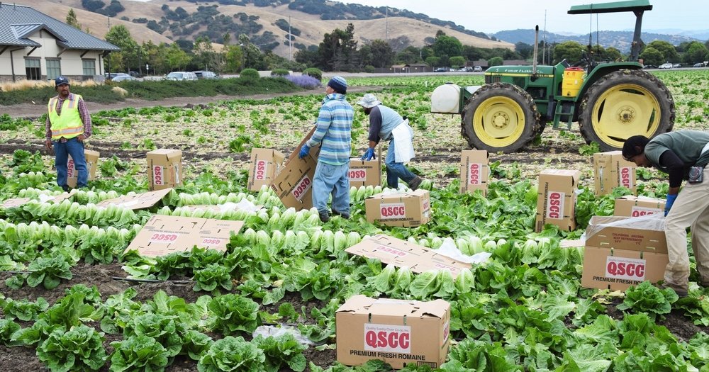 shutterstock_316253303