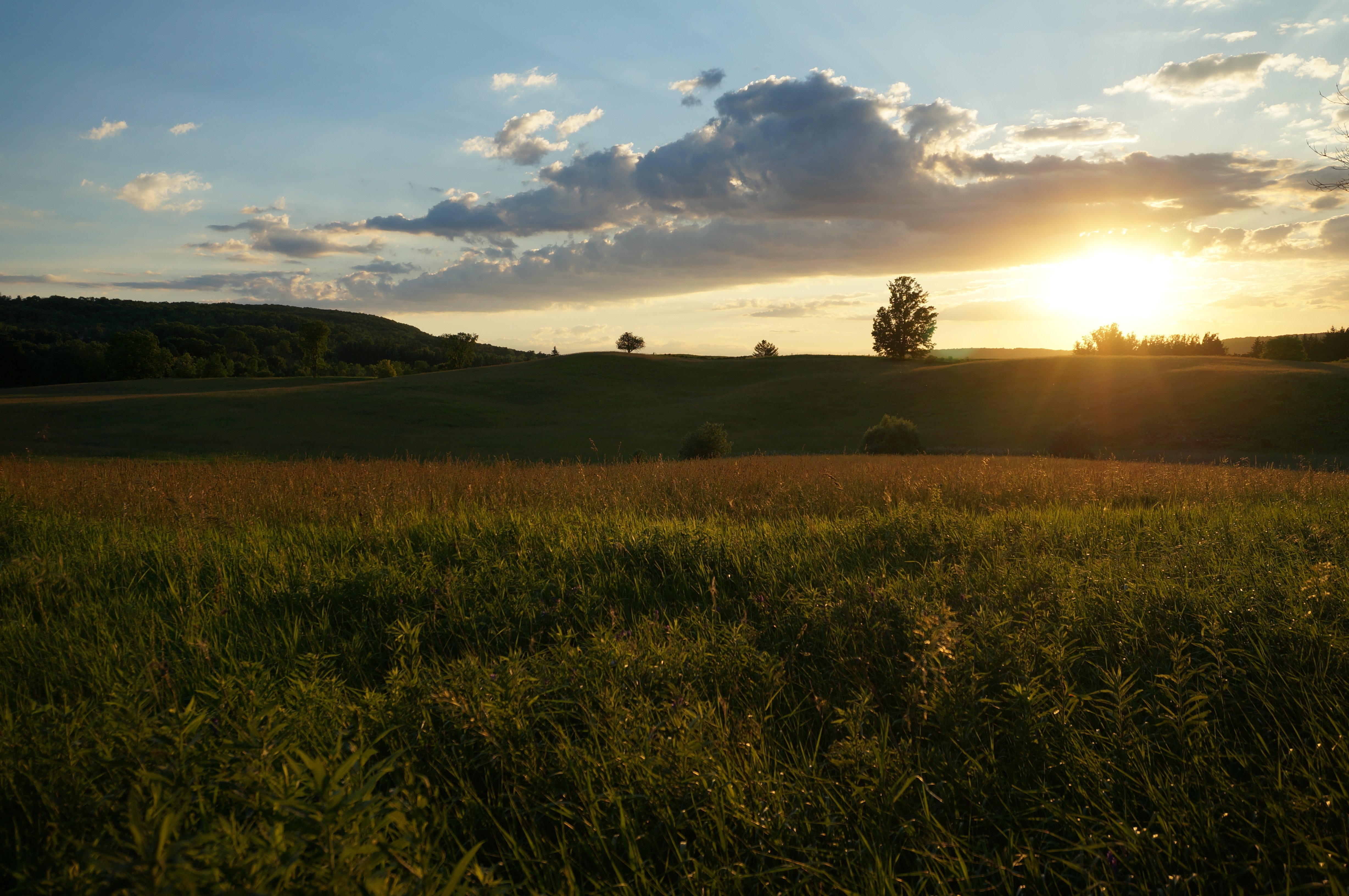 Minnesota, Pluralism on the Prairie