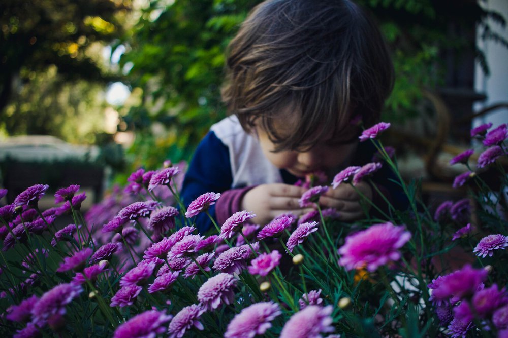 boy smelling flowers