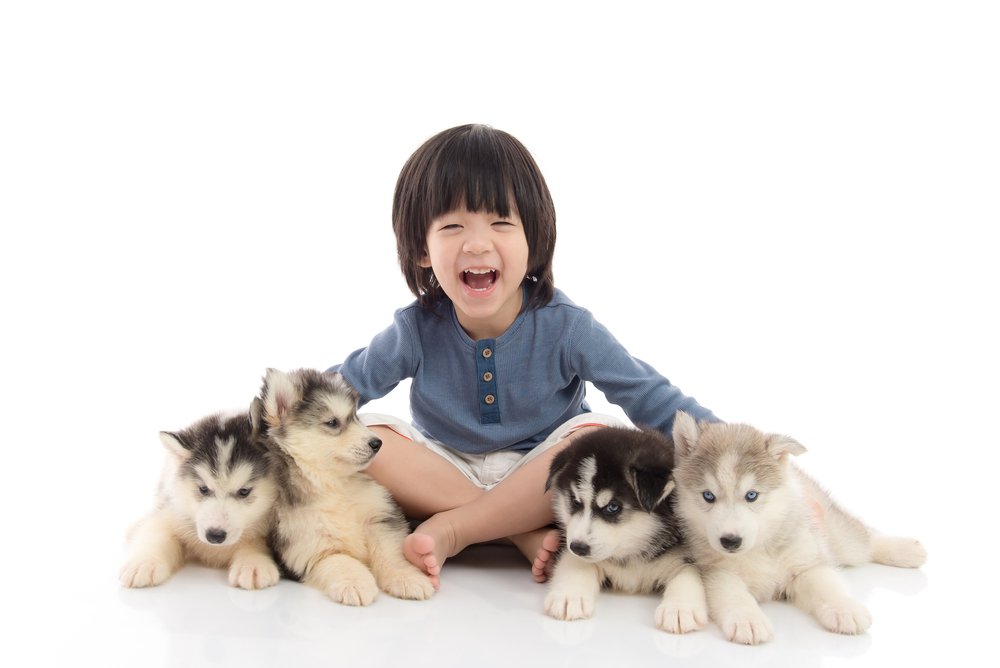 Shutterstock young boy with puppies