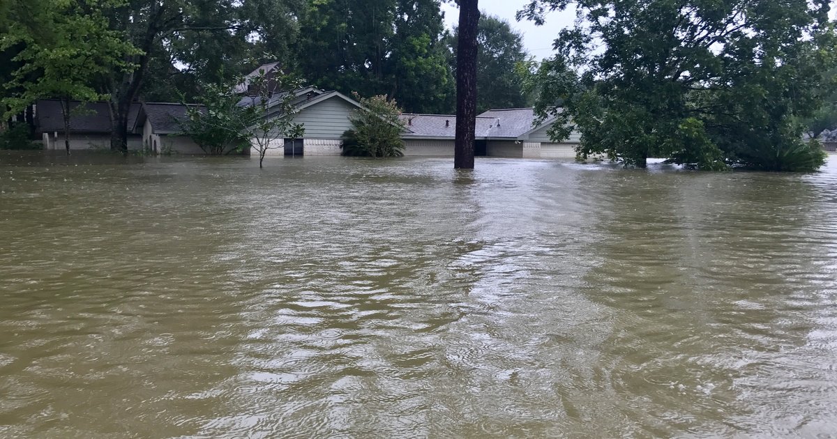 shutterstock_705268951