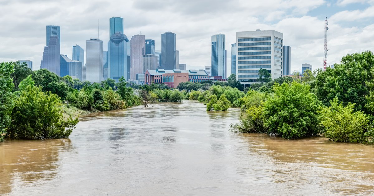 shutterstock_706152574 (1)