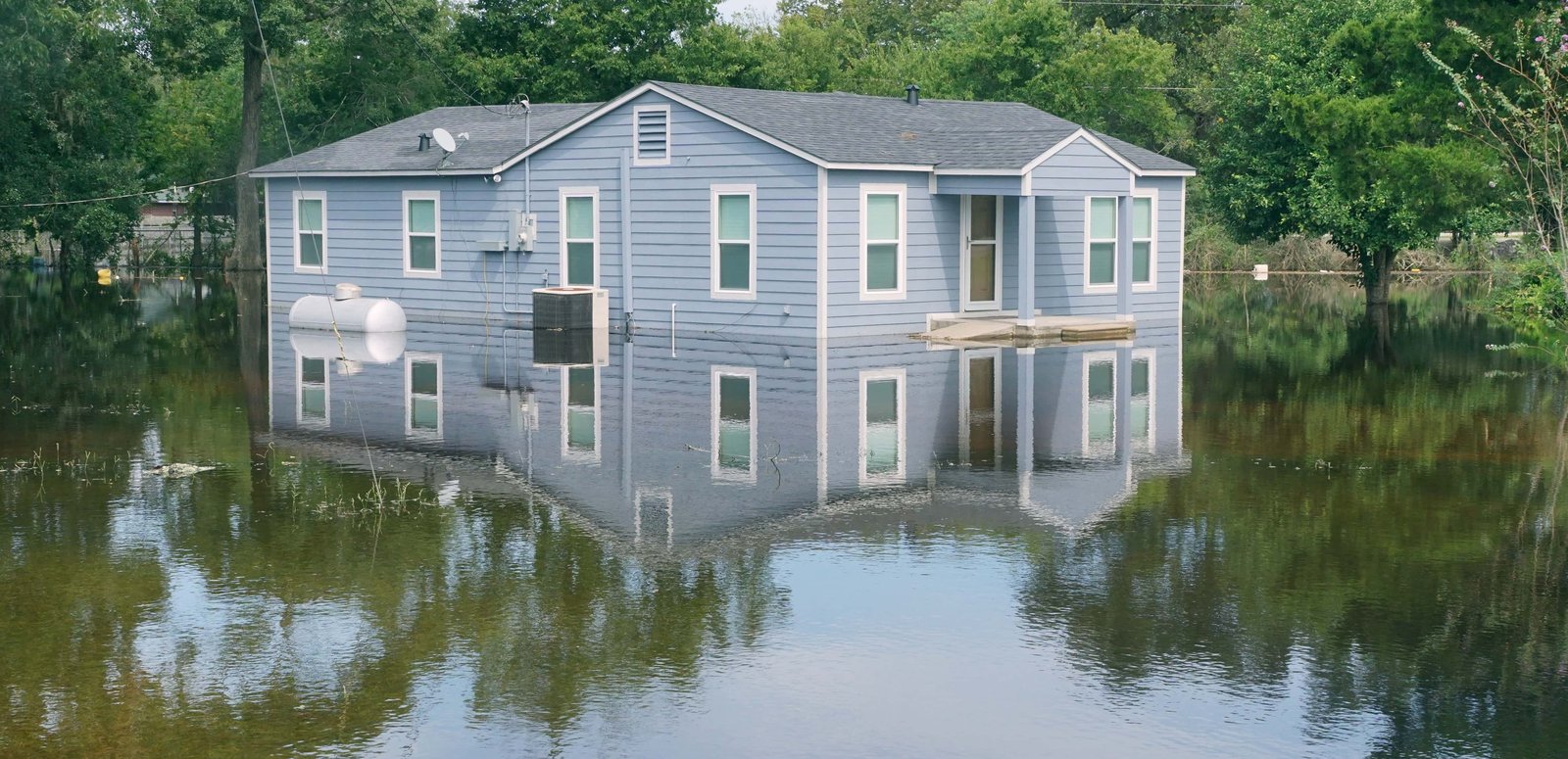 shutterstock_709483744 (1)