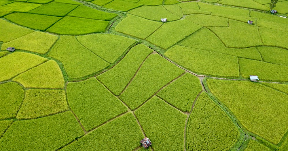 Aerial of farms in Thailand