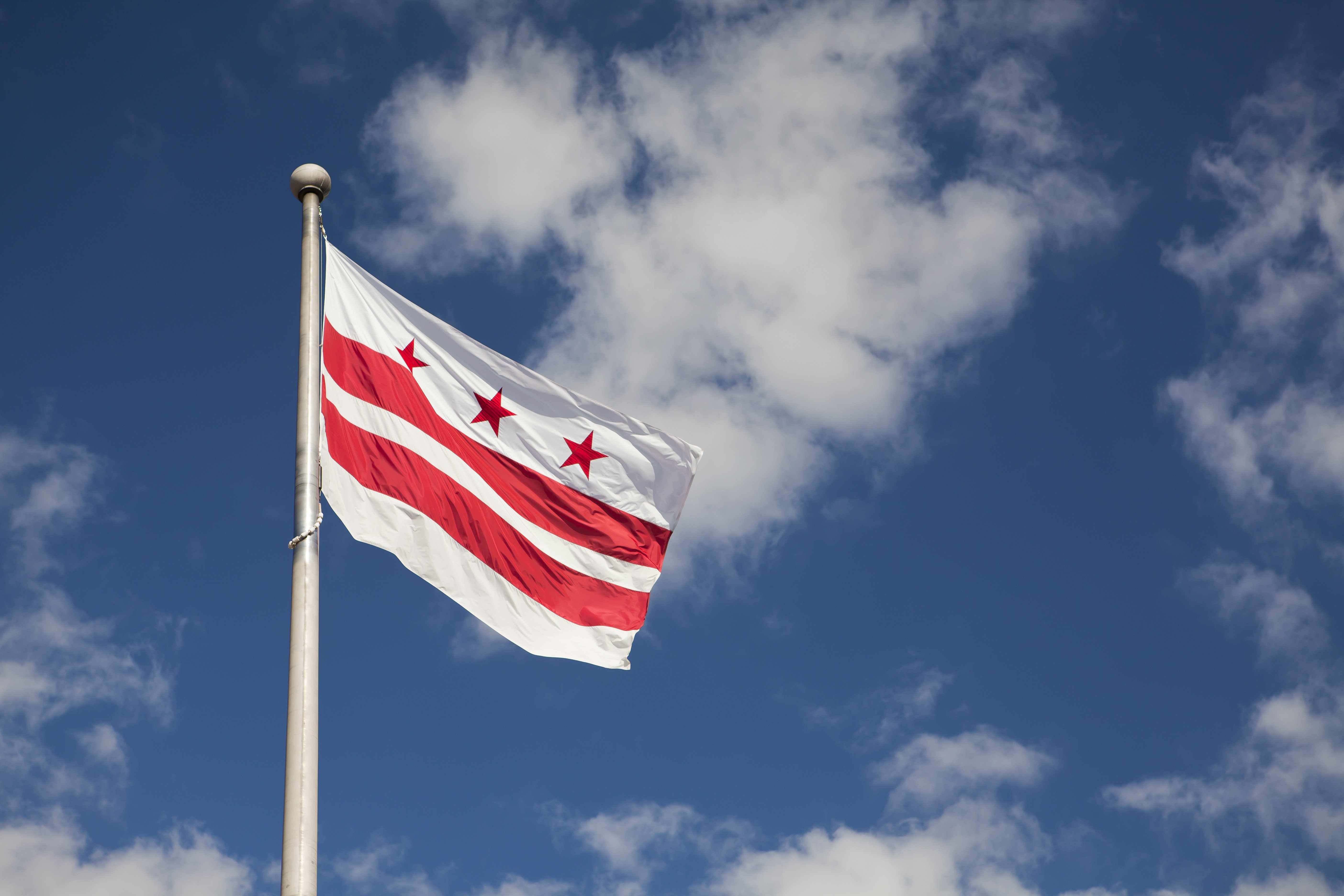 DC Flag