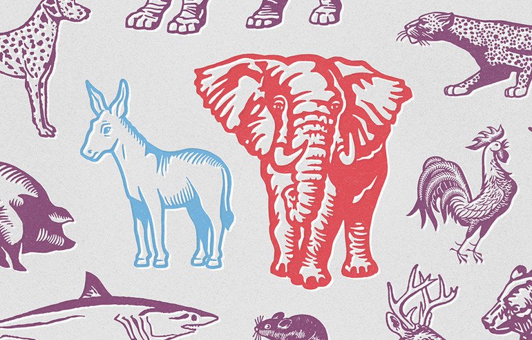 Spoiler Alert Report Cover Photo - USE ONLY FOR THIS REPORT