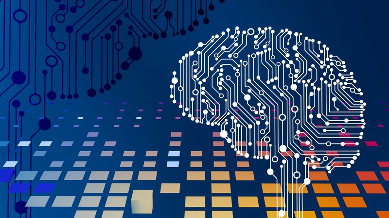 A digital brain.