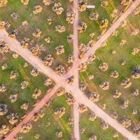 victor-0Ezh0PRhtPo-unsplash.width-800